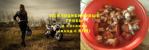 твердый Алексин
