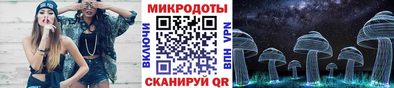 Галлюциногенные грибы Psilocybe  Кремёнки 