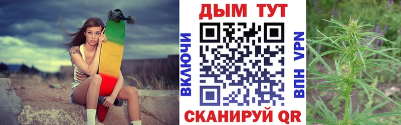 где купить   Кремёнки  Конопля ГИДРОПОН 